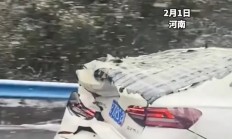 开云官网-四川突破困境，赢得胜利反弹