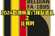 开云体育app-比利时队击败俄罗斯，实现开门红