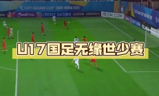 开云体育官网-乌迪内斯客场不敌帕尔马，遭遇两连败