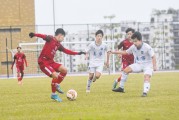 开云体育入口-本土足球职业联赛强强对抗，球队表现突出
