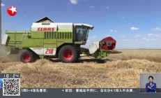 开云APP-意大利逆转保加利亚，小组领先位置巩固！的简单介绍