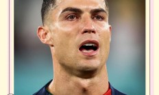 开云下载-世界杯足球赛事创下新高，激动人心的胜利