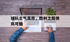 开云体育app-关于球队士气高昂，胜利之路侠岚可循的信息