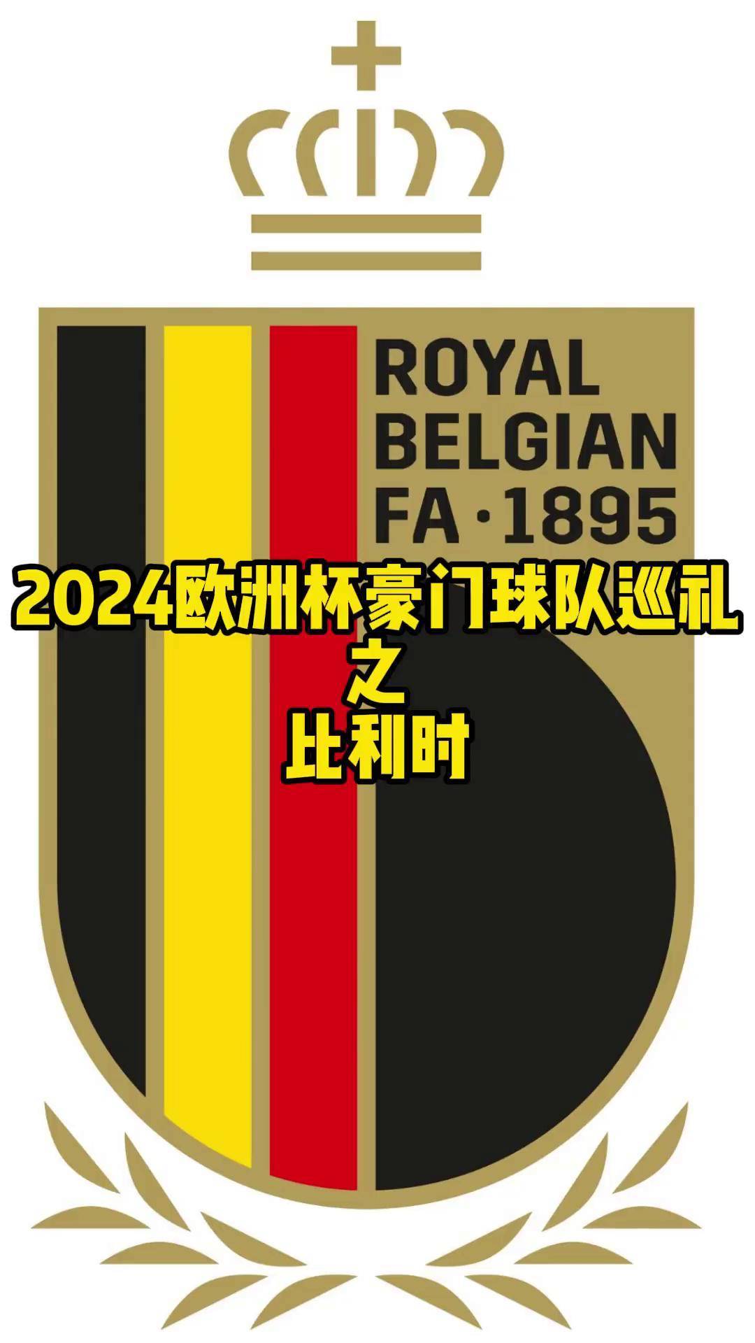 比利时队击败俄罗斯，实现开门红